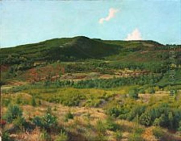 View Of Svanninge Bakker With Threes Oil Painting by Jens Birkholm