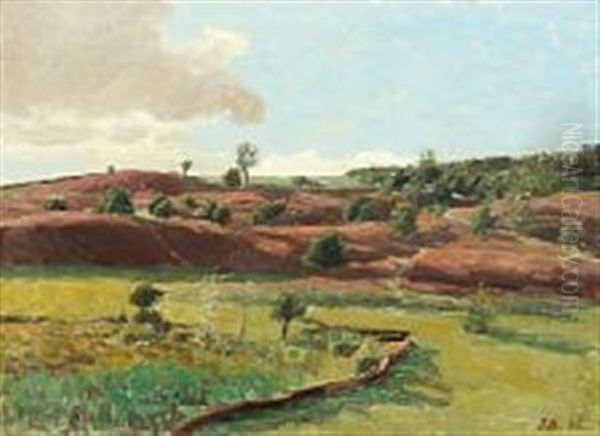 Landscape From Svanninge Bakker Oil Painting by Jens Birkholm