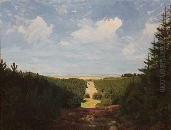 View From Svanninge Bakker, Denmark Oil Painting by Jens Birkholm