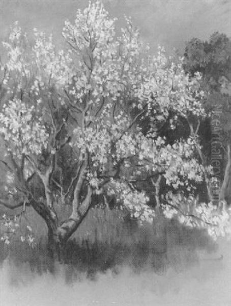 Blossom Tree Oil Painting by Oswald (Sir) Birley