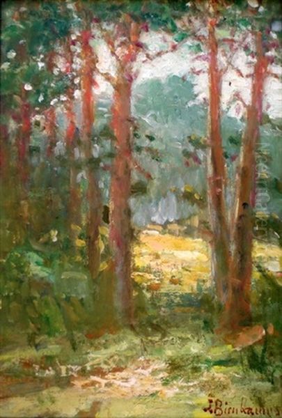 Forest Etude Oil Painting by Stanislaw Birnbaum