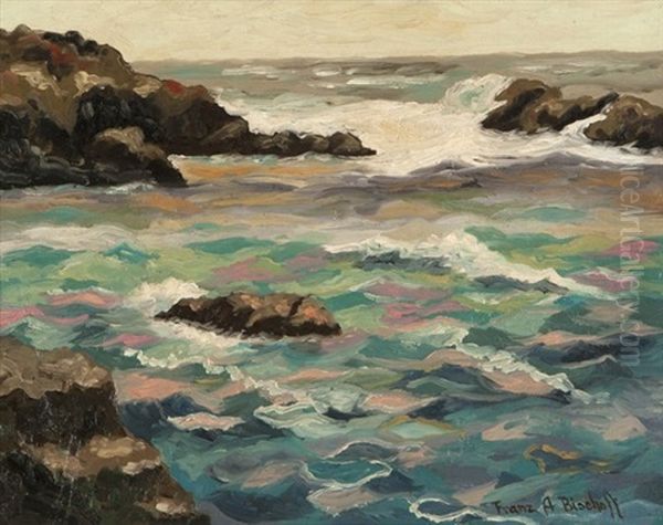 Rocky Coastal With Waves Oil Painting by Franz Arthur Bischoff