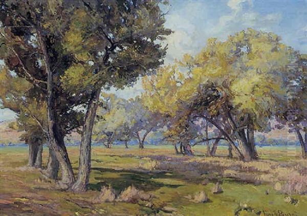 Carmel Cottonwoods by Franz Arthur Bischoff