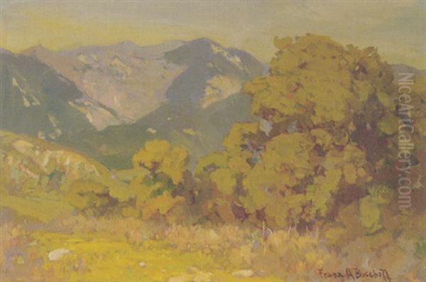 Canyon In Spring Oil Painting by Franz Arthur Bischoff