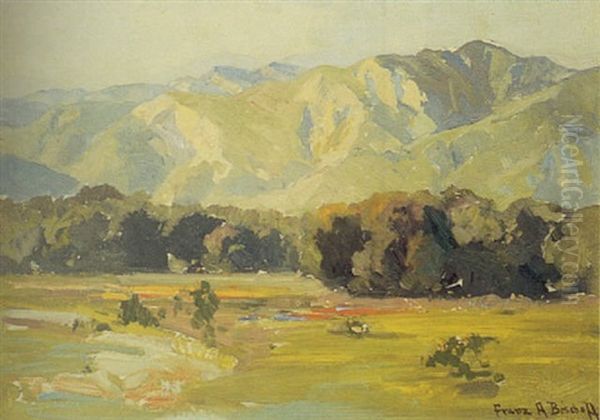 A California Valley In Bloom Oil Painting by Franz Arthur Bischoff