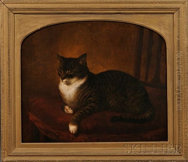 Portrait Of A Gray Tiger Cat Seated On A Chair Oil Painting by Henry Collins Bispham