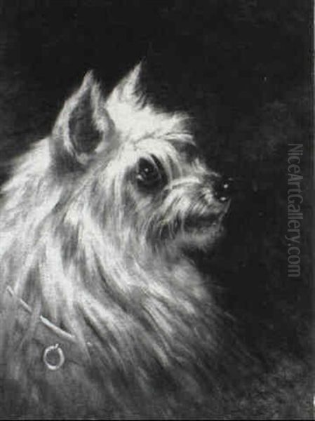 Head Of A Terrier by Henry Collins Bispham