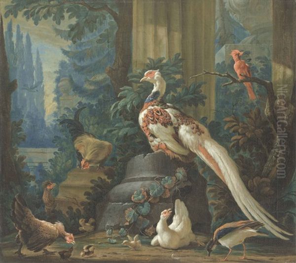 A Silver Pheasant And Other Exotic Birds Amongst Classical Ruins Oil Painting by Abraham Bisschop