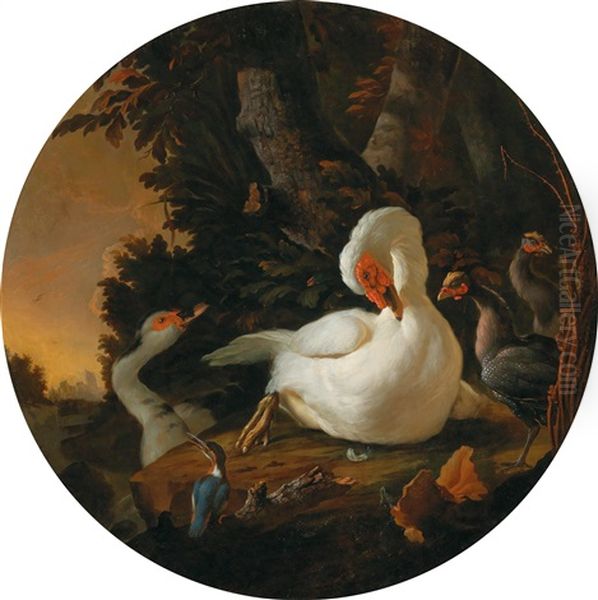 A Mute Swan Oil Painting by Abraham Bisschop