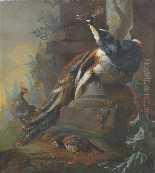 Peacocks In An Ornate Garden Oil Painting by Abraham Bisschop