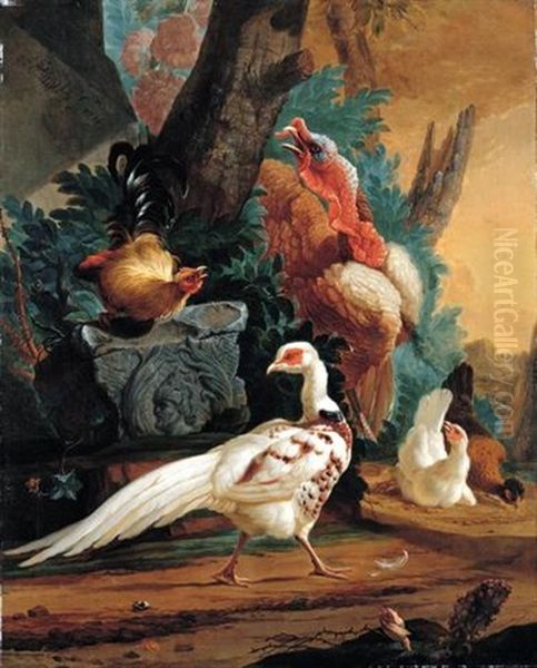 A White Pheasant, A Turkey And Farmyard Fowl In A Landscape Setting Oil Painting by Abraham Bisschop