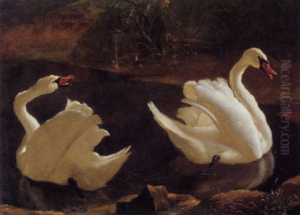 Two Swans On A Lake Oil Painting by Abraham Bisschop