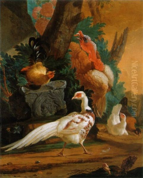 A White Pheasant A Turkey And Poultry In A Landscape Oil Painting by Abraham Bisschop