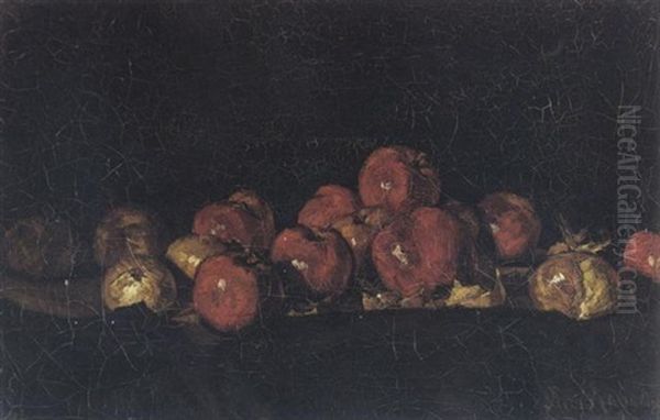 A Still Life With Apples Oil Painting by Suze Bisschop-Robertson