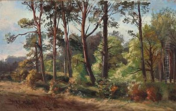 Sunny Day At Hornbaek Plantation, Denmark Oil Painting by Rudolf Bissen