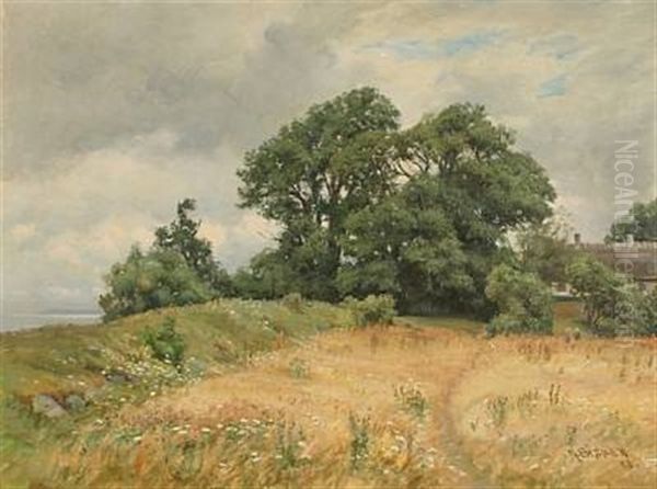 Langtved - Bramsnaes Vig (landscape From Langved At Bramsnaes Vig, Denmark) Oil Painting by Rudolf Bissen