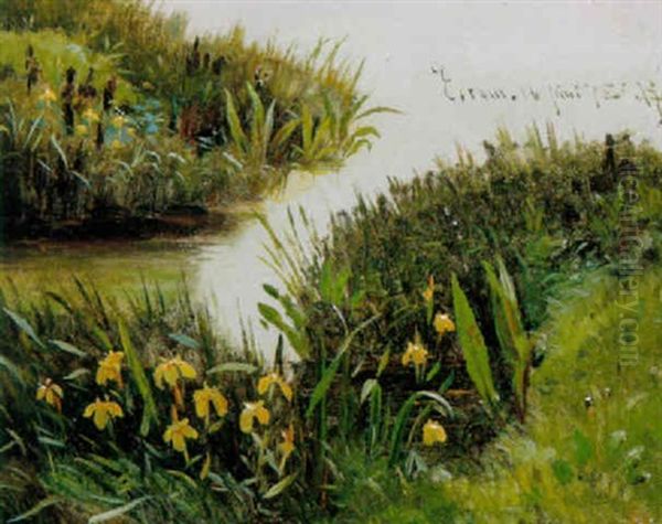 Graesser Og Blomster Ved Bredden Af Esrum So Oil Painting by Rudolf Bissen