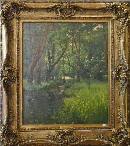 Sous-bois Avec Cascade Oil Painting by Henri Biva