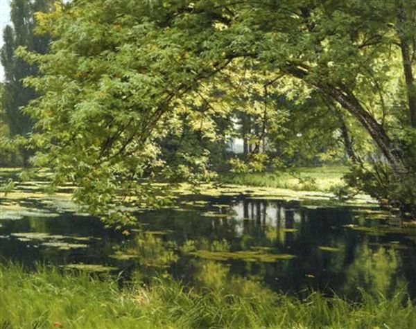 L'etang Aux Nenuphars, Effet De Lumiere Oil Painting by Henri Biva