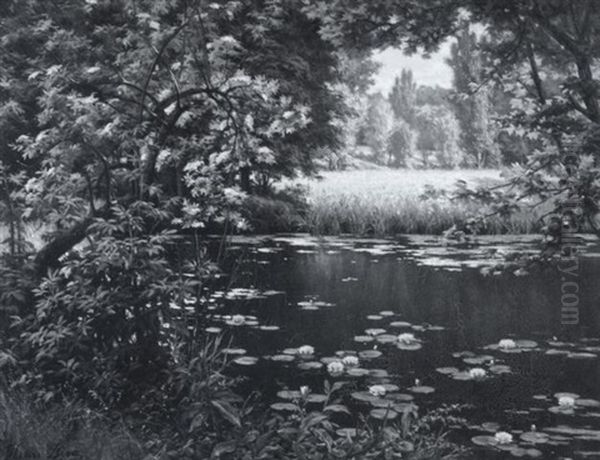 The Lily Pond Oil Painting by Henri Biva