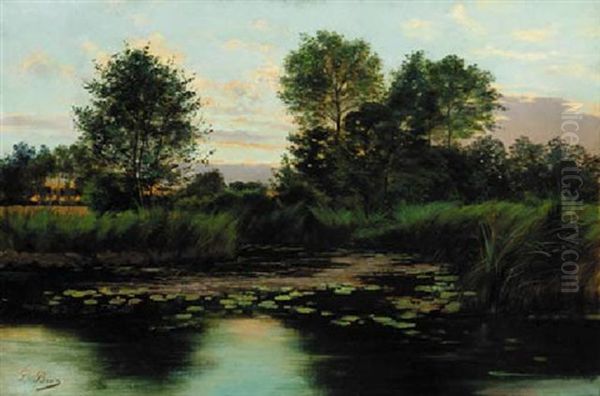 Sunset Over The Lily Pond Oil Painting by Paul Biva