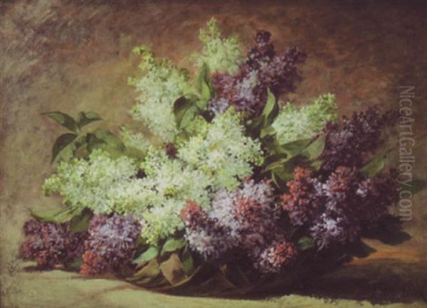 Still Life Of Wisteria Oil Painting by Paul Biva