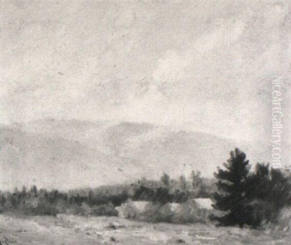 White Mountain Meadow Oil Painting by William Johnson Bixbee