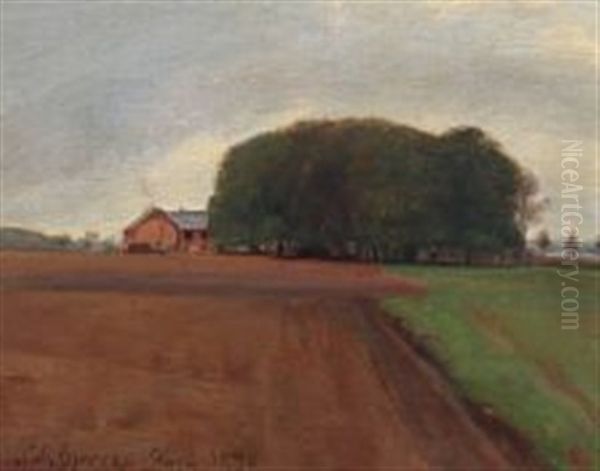 Landscape Near Soro Oil Painting by Niels Bjerre