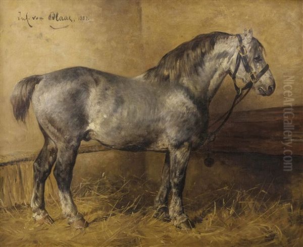 Lipizzaner Im Stall Oil Painting by Julius von Blaas