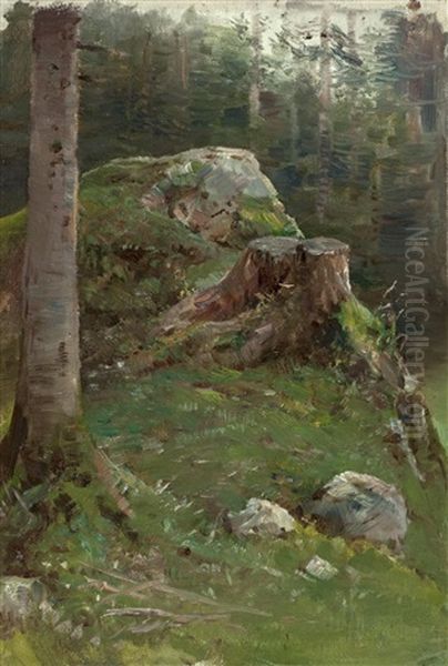 Fels Mit Baumstumpf Im Wald Oil Painting by Julius von Blaas