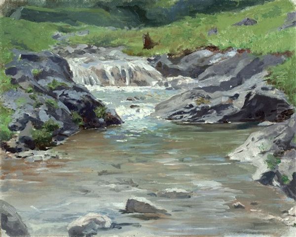 Kleiner Wasserfall Eines Bergbaches Oil Painting by Julius von Blaas