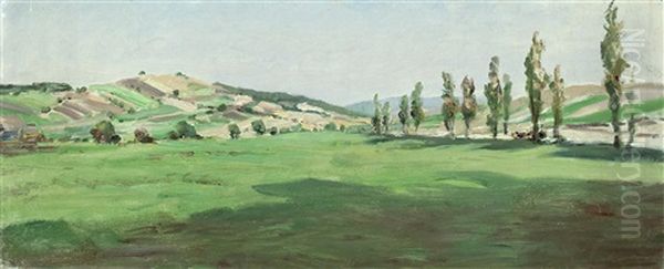 Weite Landschaft Mit Pappelallee Oil Painting by Julius von Blaas