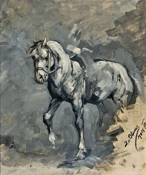 Pferd (study) Oil Painting by Julius von Blaas