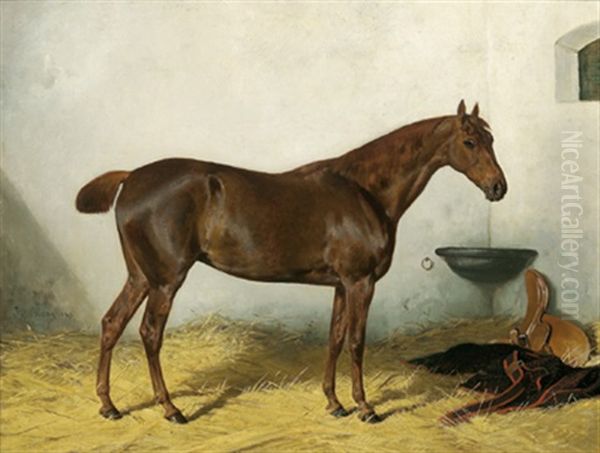 Brauner Im Stall Oil Painting by Julius von Blaas