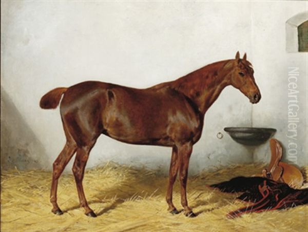 Brauner Im Stall Oil Painting by Julius von Blaas