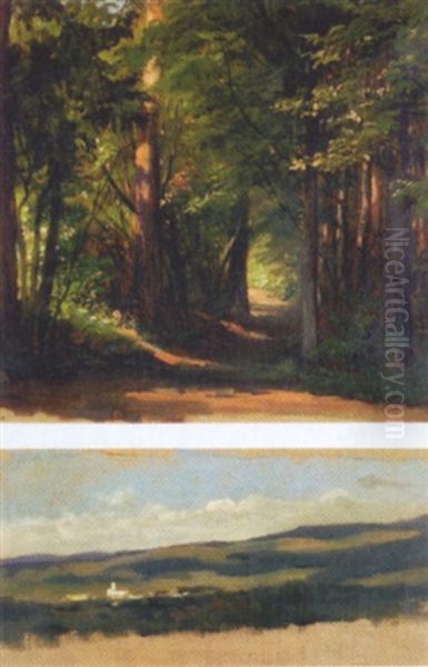 Waldinneres Im Sommer Oil Painting by Julius von Blaas