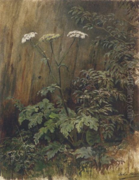 Wiesenpflanzen Oil Painting by Julius von Blaas