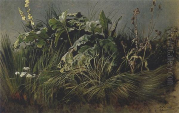 Wiesenstuck (u.a. Huflattich) Oil Painting by Julius von Blaas