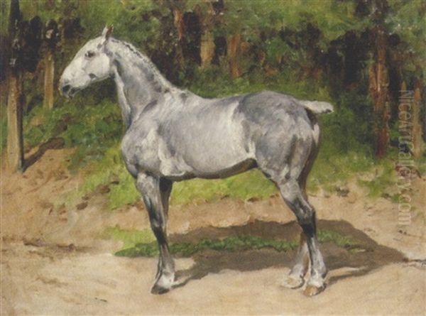 Grauschimmel In Waldlichtung Oil Painting by Julius von Blaas