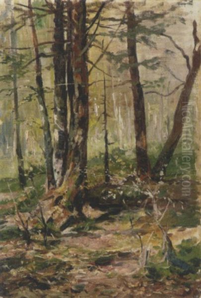 Im Sommerlichen Wald Oil Painting by Julius von Blaas