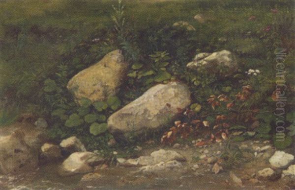 Steine Und Pflanzen Am Bach Oil Painting by Julius von Blaas