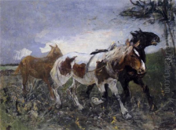 Pferde Oil Painting by Julius von Blaas