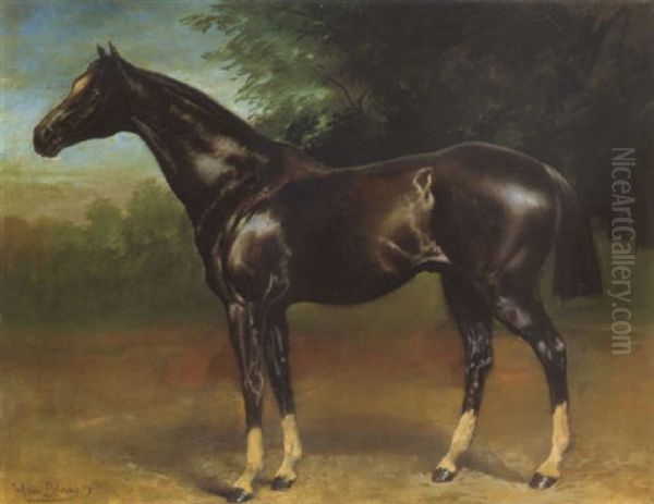 Versenylo (racing Horse) Oil Painting by Julius von Blaas