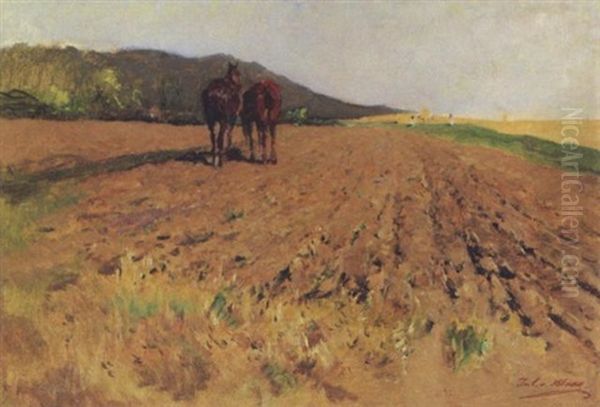 Pferde Am Feld Oil Painting by Julius von Blaas