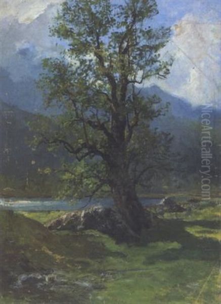 Landschaft Mit Grosem Laubbaum Oil Painting by Julius von Blaas