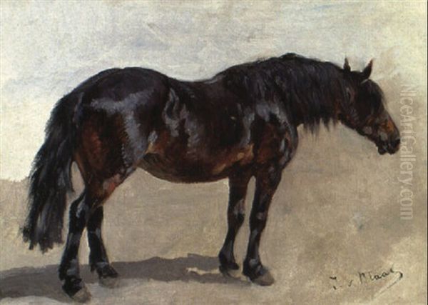 Braunes Pferd Oil Painting by Julius von Blaas