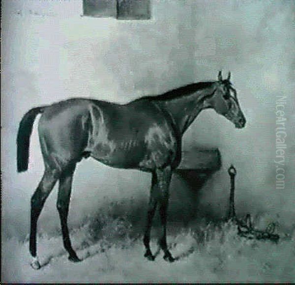 Bay In Loose Stall Oil Painting by Julius von Blaas