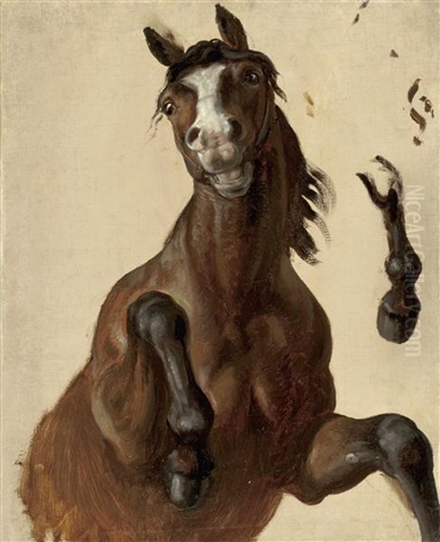 Ein Steigendes Pferd Und Eine Vorderhand (studies) by Karl von Blaas