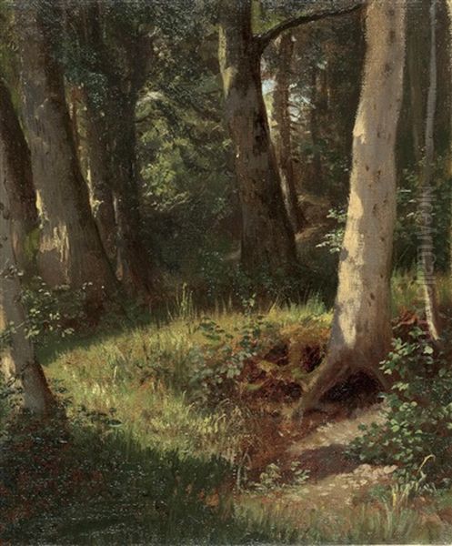 Lichtung Im Wald by Karl von Blaas