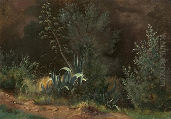 Wiesenstuck Mit Agaven Oil Painting by Karl von Blaas